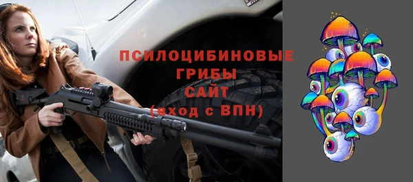 индика Зерноград
