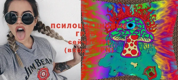 шишки Зеленодольск