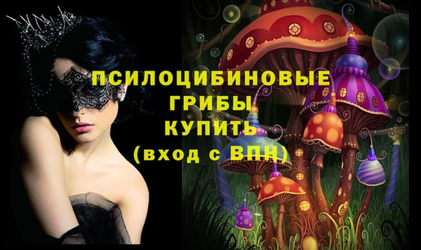 шишки Зеленодольск