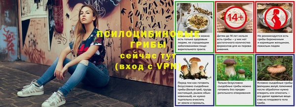 шишки Зеленодольск