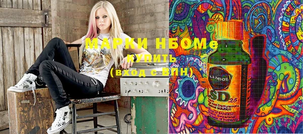 индика Зерноград