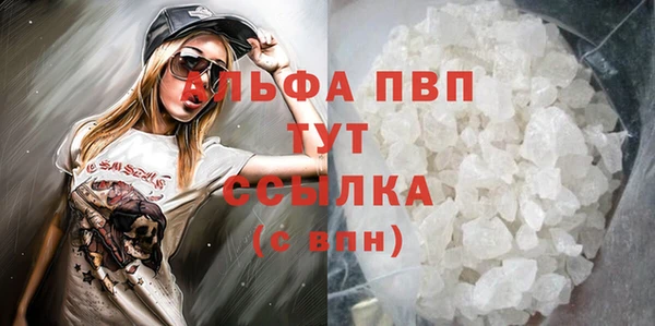 индика Зерноград