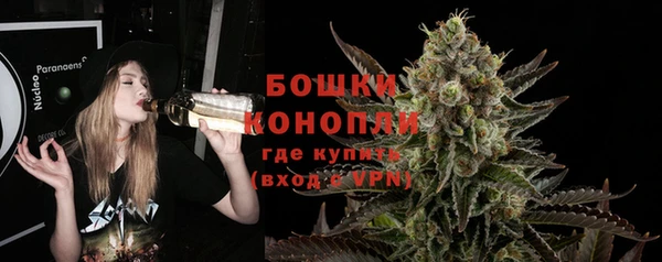 индика Зерноград